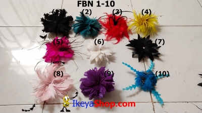 FBN 1a  large2